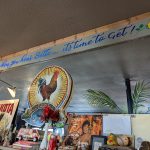 PXL_20230510_224052724.MP (1)